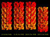 [Figure 7]