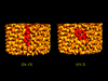 [Figure 9]