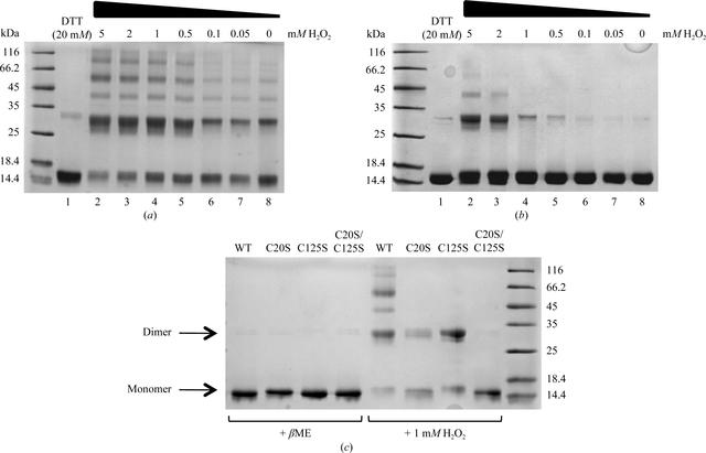 [Figure 3]