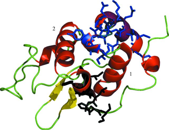 [Figure 12]