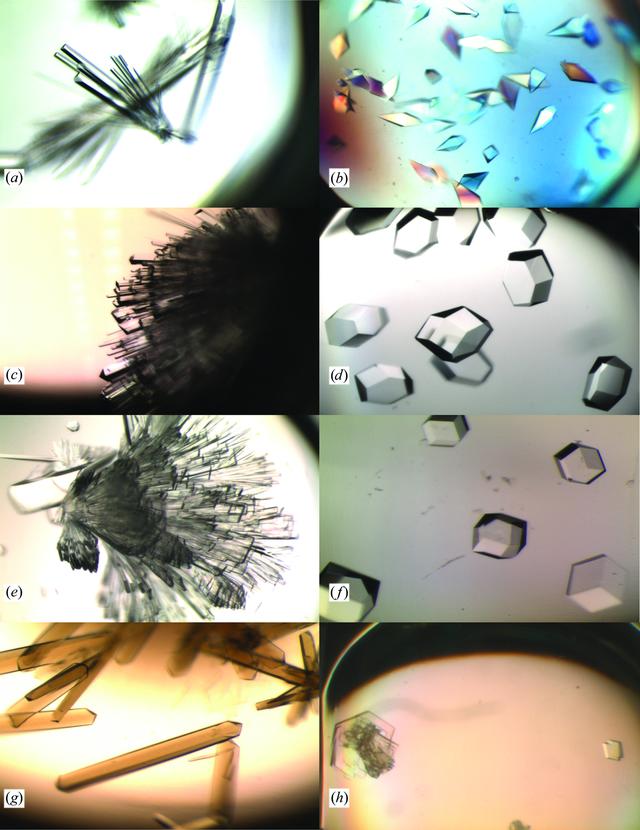 [Figure 3]