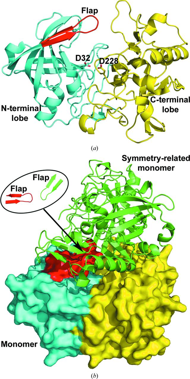 [Figure 1]