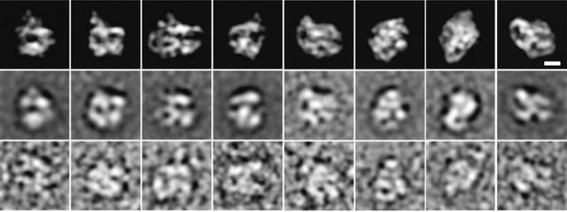 [Figure 5]