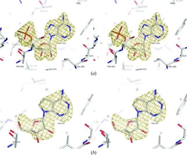[Figure 4]