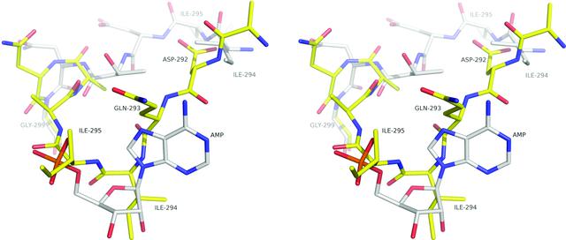 [Figure 5]