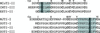 [Figure 1]