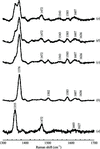 [Figure 1]