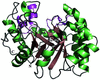 [Figure 1]