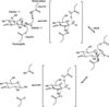 [Figure 2]