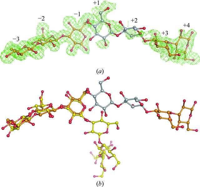 [Figure 4]