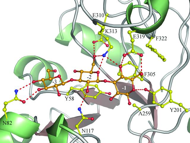 [Figure 5]