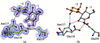 [Figure 6]