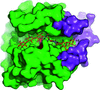 [Figure 9]