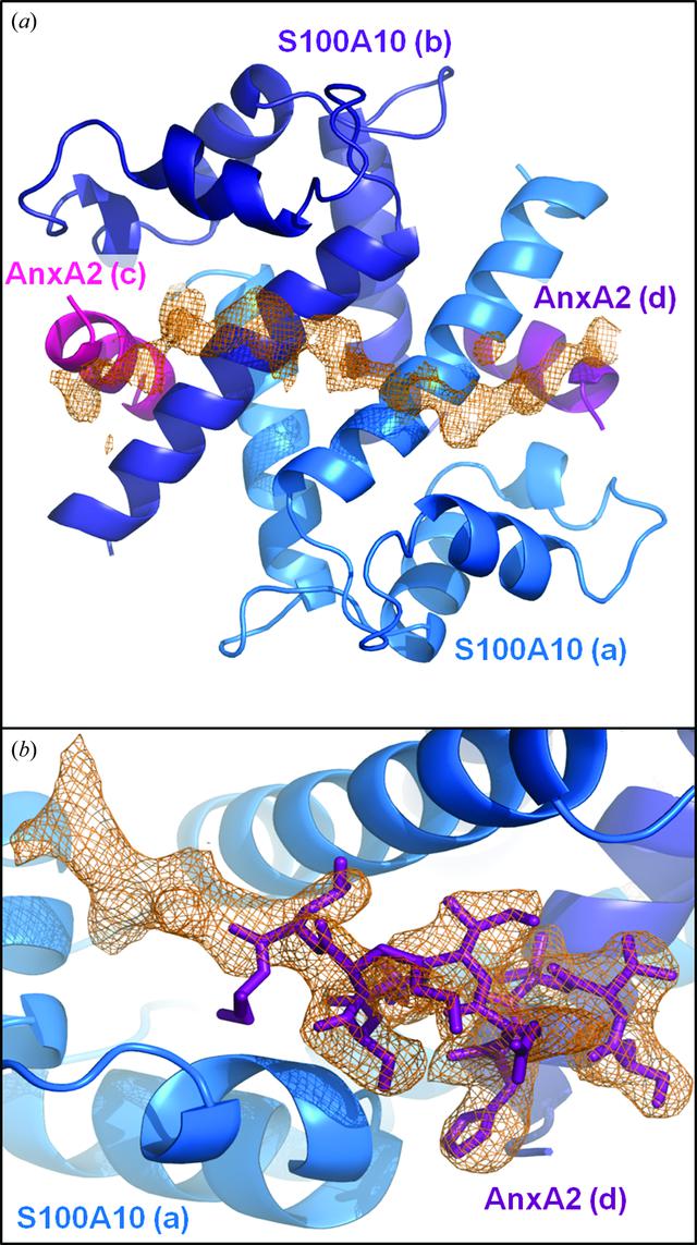 [Figure 1]