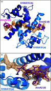 [Figure 1]