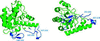 [Figure 5]