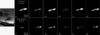 [Figure 2]