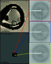 [Figure 4]