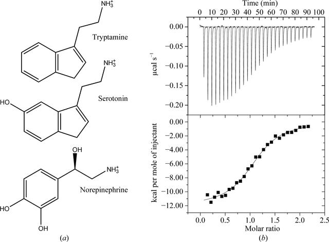 [Figure 1]