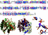 [Figure 3]