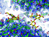 [Figure 11]