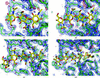 [Figure 15]