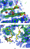 [Figure 4]