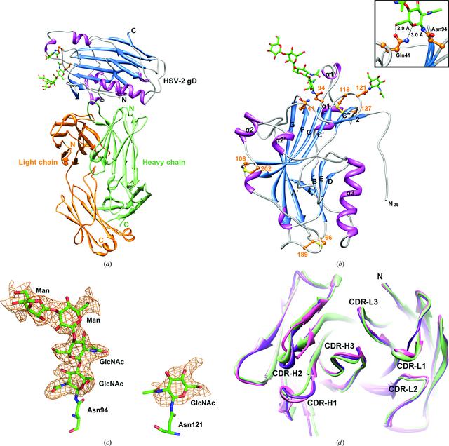 [Figure 1]