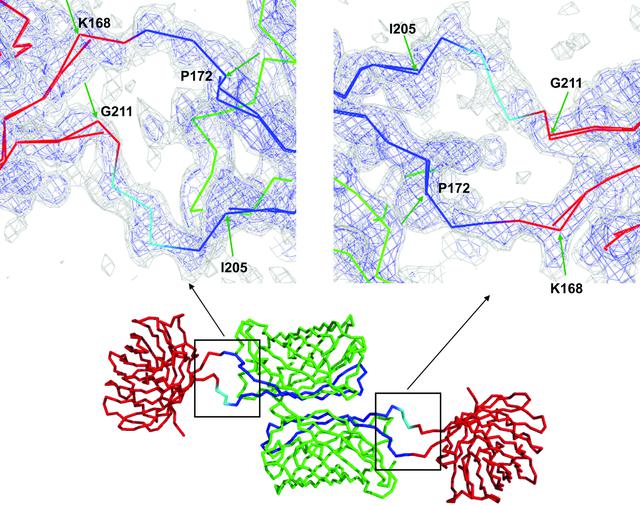 [Figure 5]