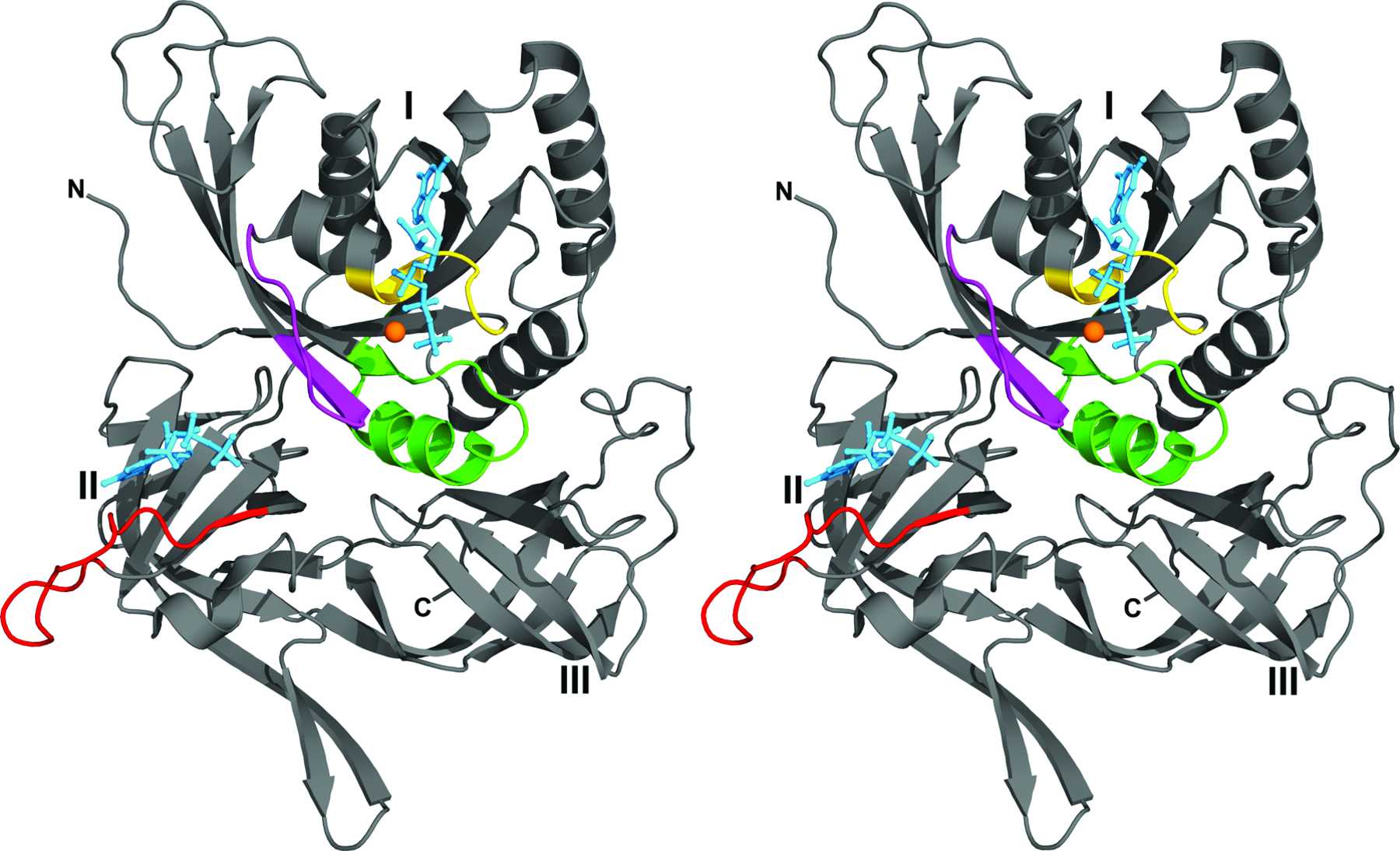 Iucr Conformational Transitions In The Subunit Of The Archaeal