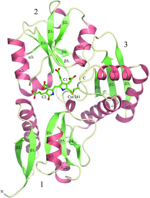 [Figure 3]