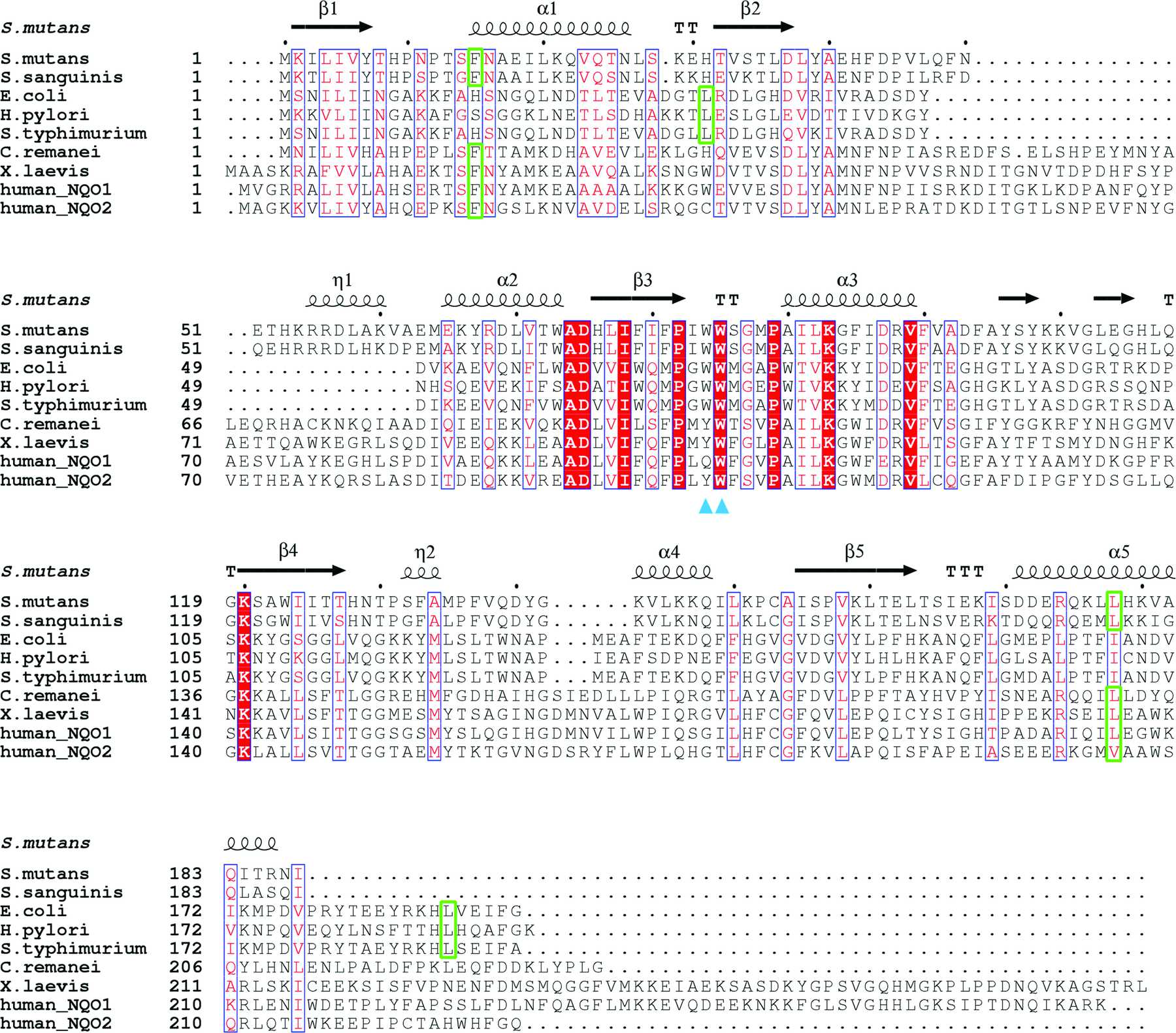 IUCr Structural And Biochemical Characterization Of MdaB From