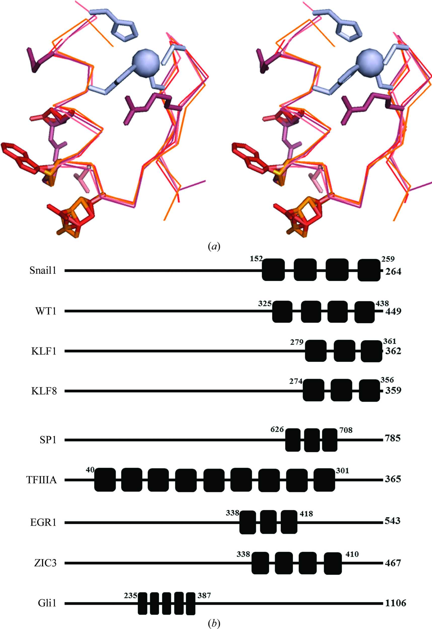 Iucr Structural Basis For The Selective Nuclear Import Of The C H