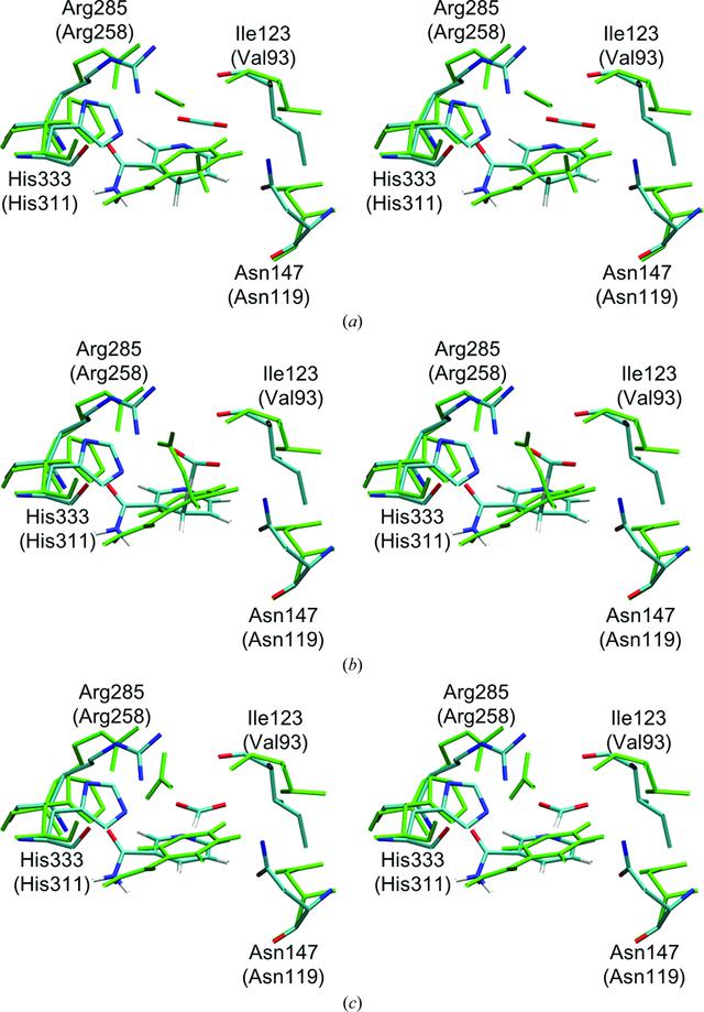 Iucr Structural Insights Into The Efficient Co Reducing Activity