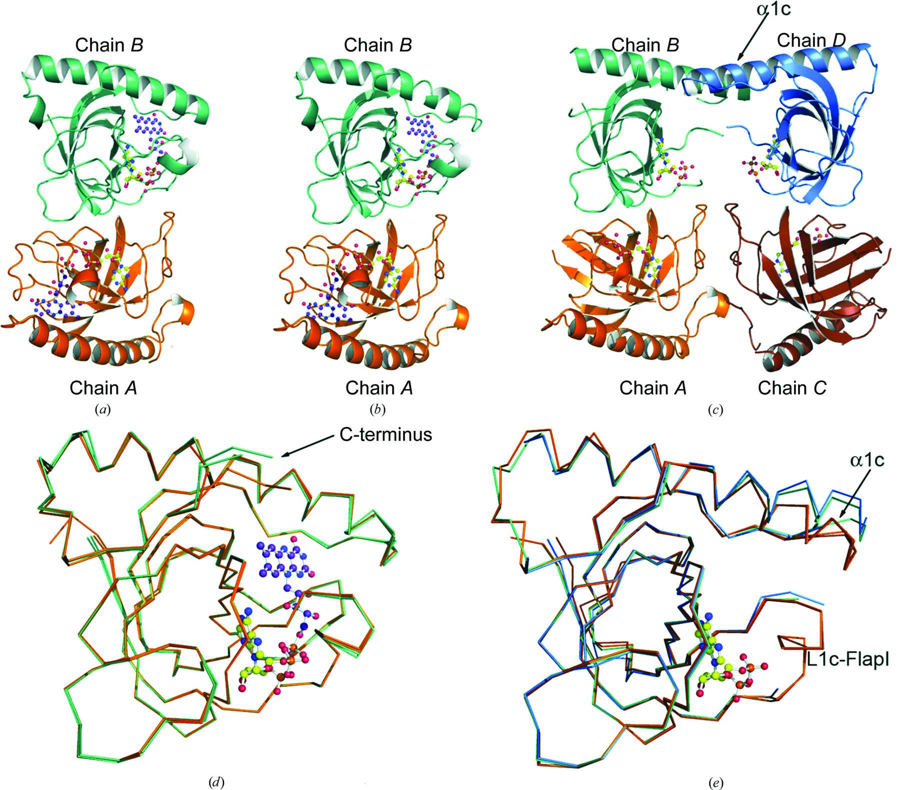 Iucr Structural Insights Into The Synthesis Of Fmn In Prokaryotic