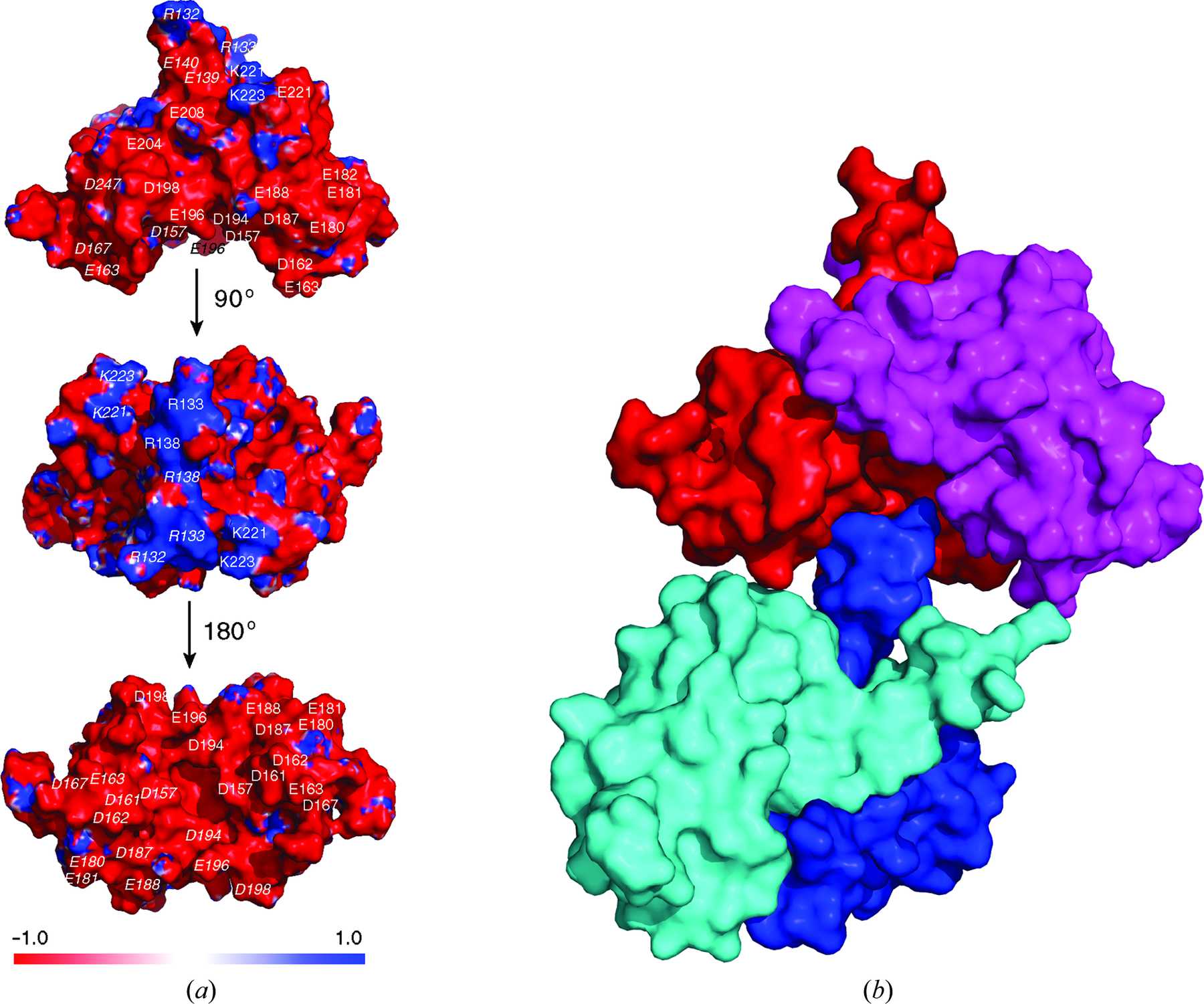 IUCr Crystal Structure Of A Dimerization Domain Of Human Caprin 1