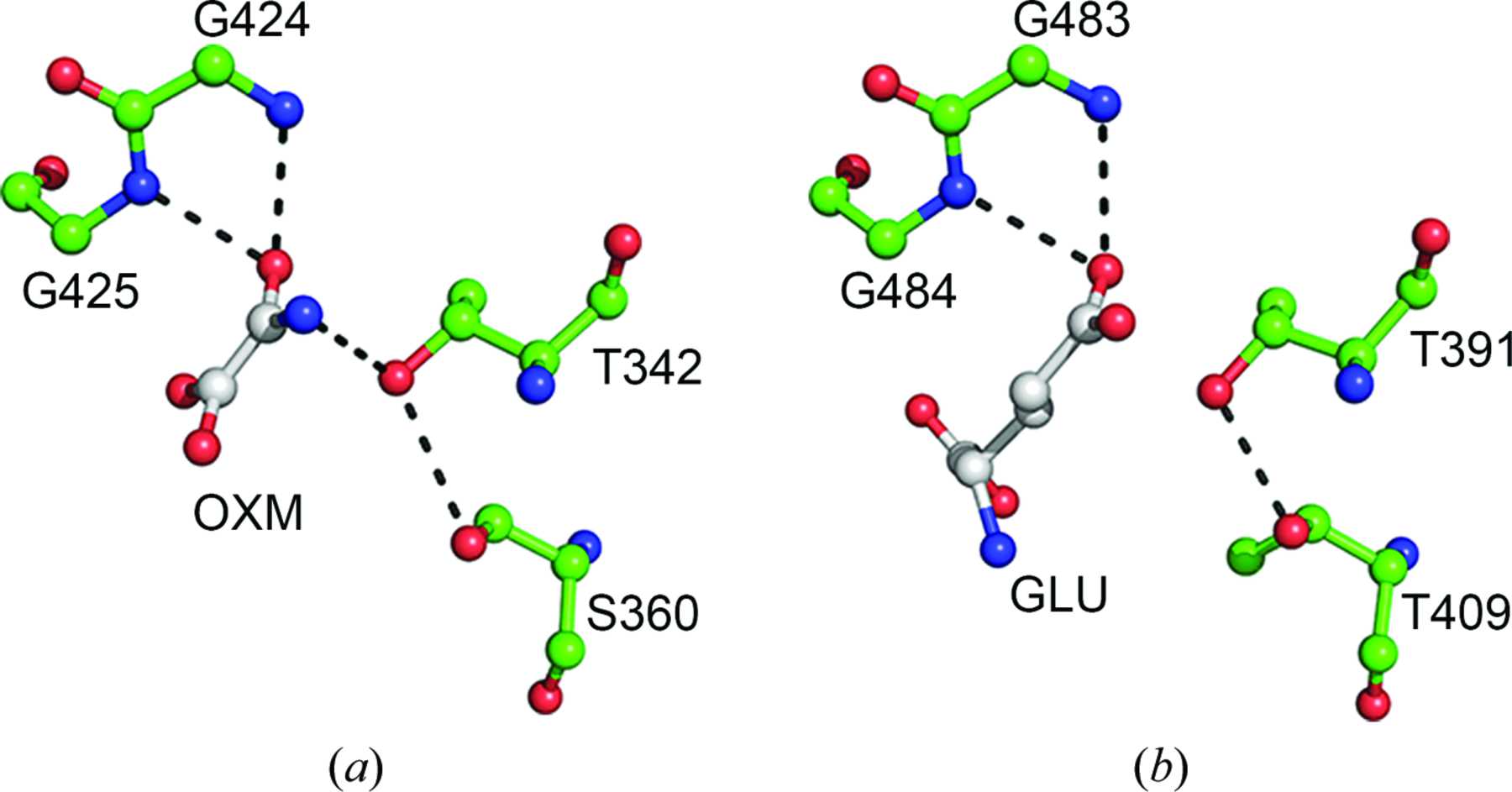 Iucr Biochemical And Structural Characterization Of Klebsiella