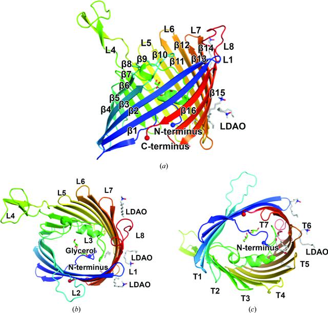 [Figure 1]