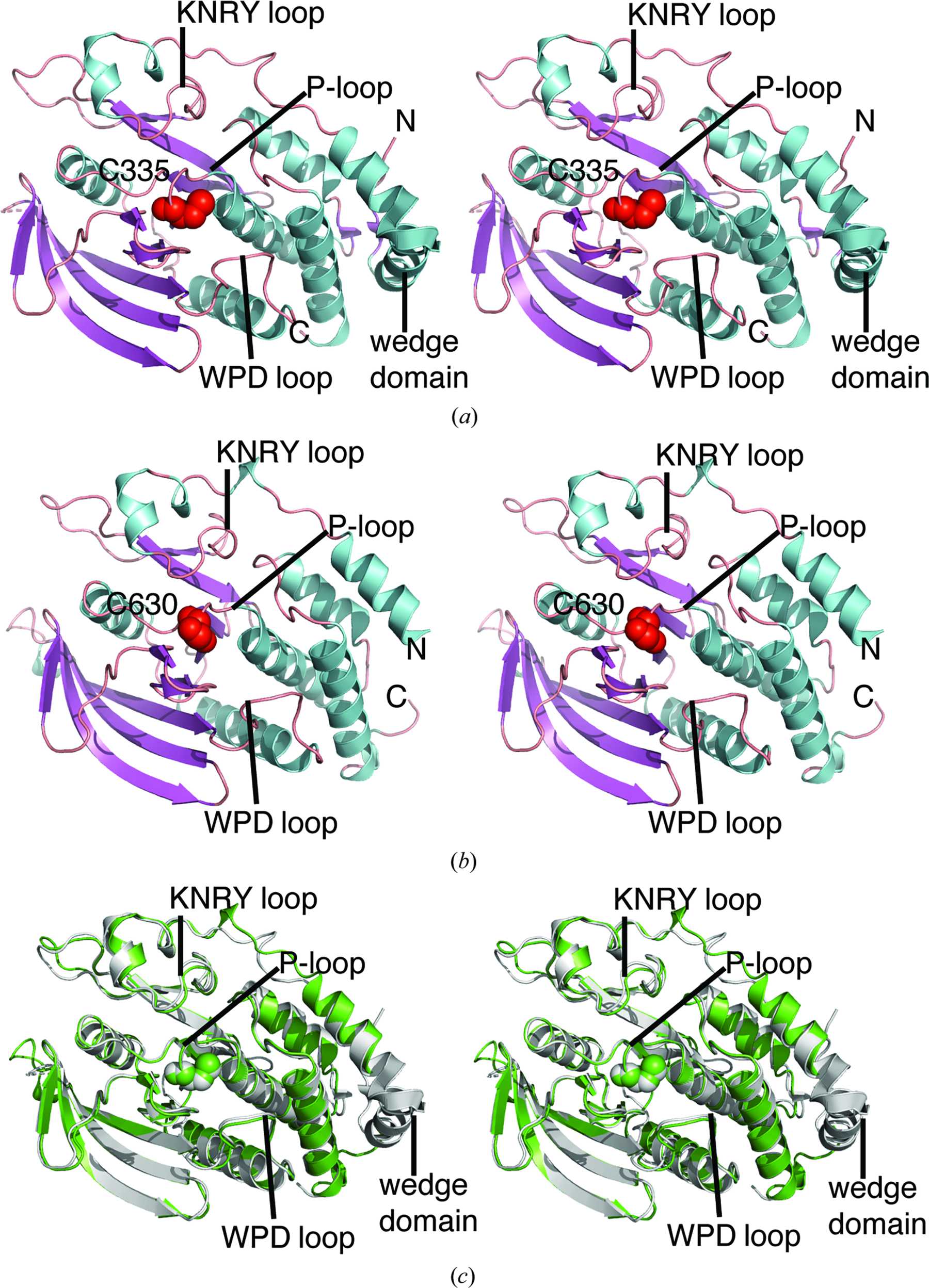 IUCr High Resolution Crystal Structures Of The D1 And D2 Domains Of