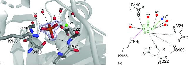 IUCr Crystal Structures And Snapshots Along The Reaction Pathway Of