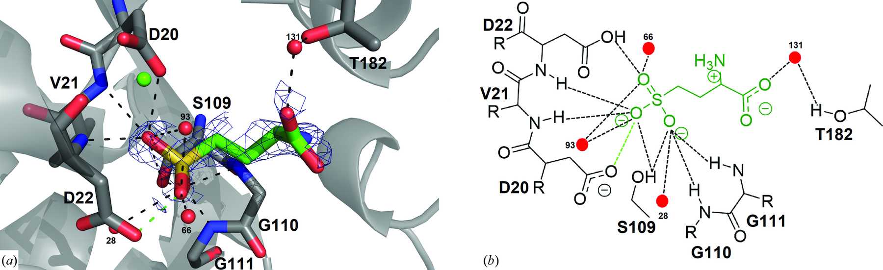 IUCr Crystal Structures And Snapshots Along The Reaction Pathway Of