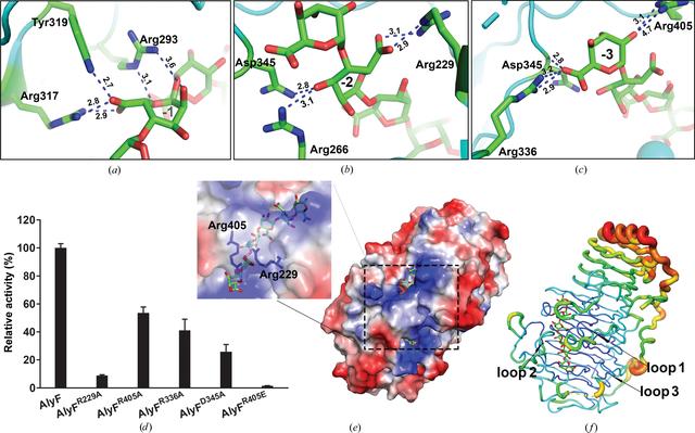 Iucr Structural Insights Into The Substrate Binding Cleft Of Alyf