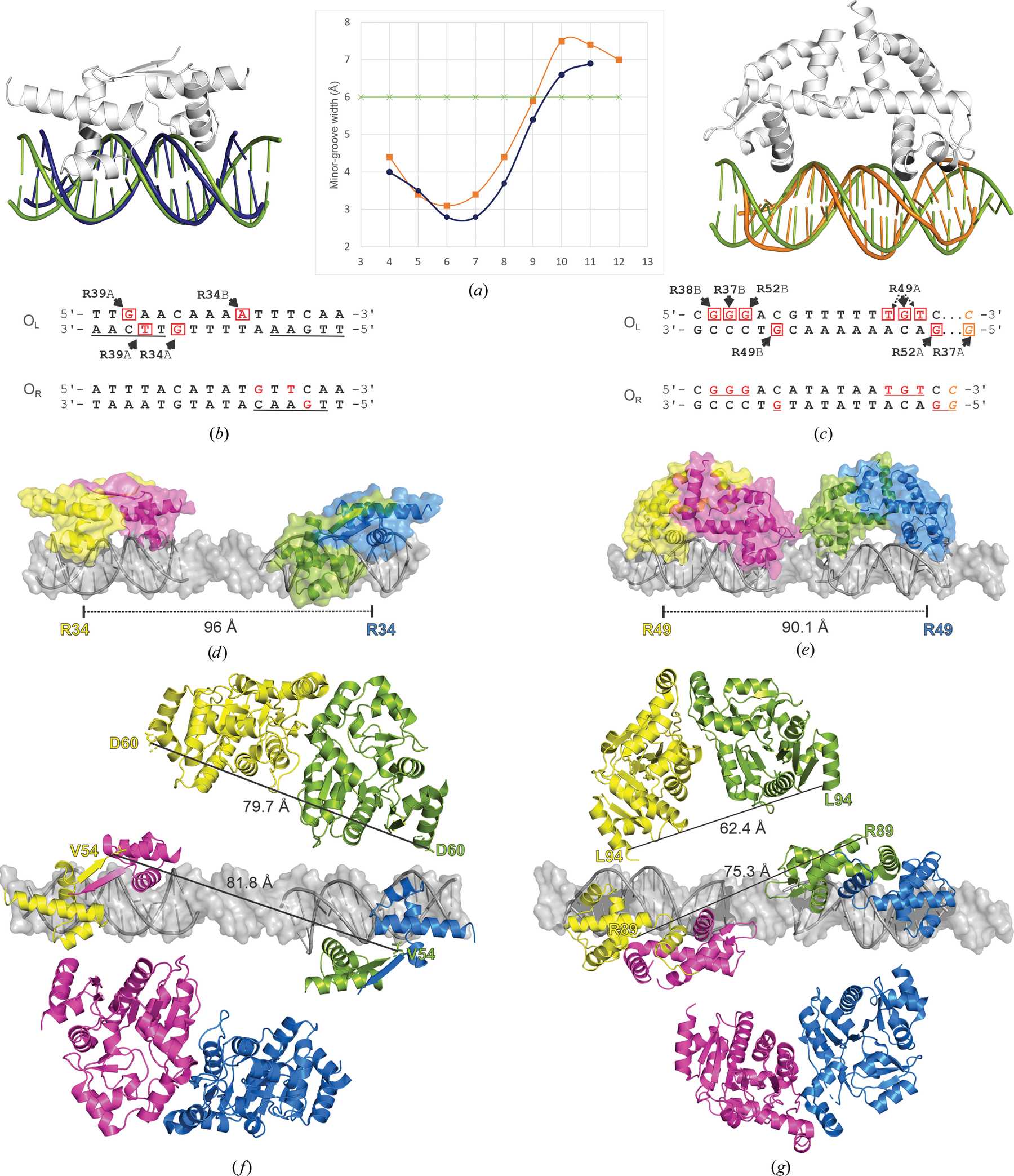 Iucr Structural Insight Into Dna Recognition By Bacterial