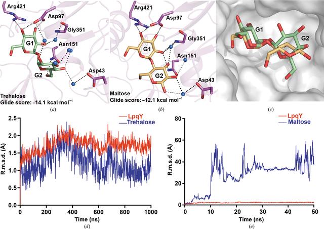 Iucr Structural Analysis Of Lpqy A Substrate Binding Protein From