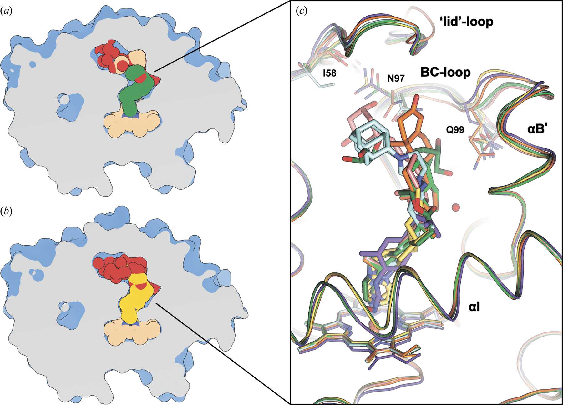 IUCr Structural Insights Into The Effects Of Glycerol On Ligand