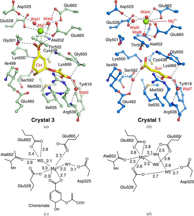 Iucr Structural Basis For The Allosteric Pathway Of Amino