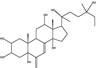 [Contents scheme]