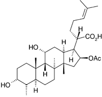 [Contents scheme]