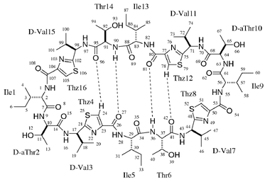 [Contents scheme]