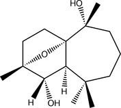 [Contents scheme]
